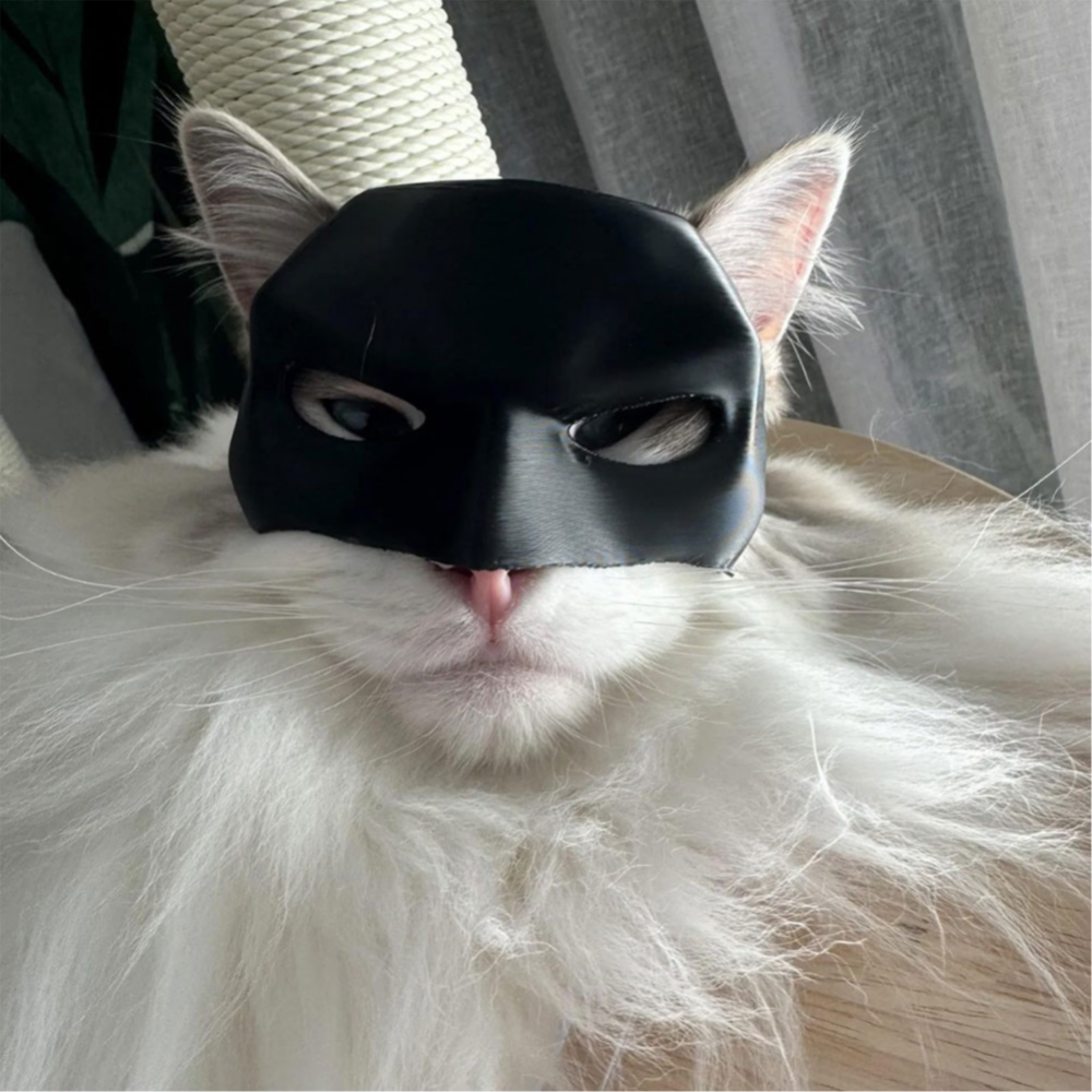 Bat Cat Avenger Mask Black Matte Bat Mask Superhero Pet Toys Cat Bat Pet Man Mask for Cat and Dogs Spooky Make-up Party Toy